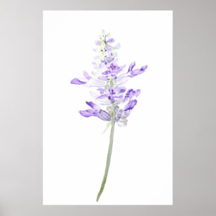 en vattenfärg för lila fernleaf lavender poster