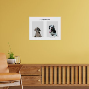 En vecka en månad gammal Grand Danois  Poster