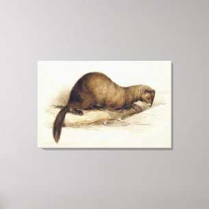 En vessla, 1832 (w/c, skriva, bläck-, gouache- oc canvastryck