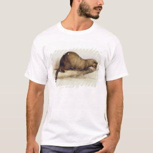En vessla, 1832 (w/c, skriva, bläck-, gouache- oc t-shirt