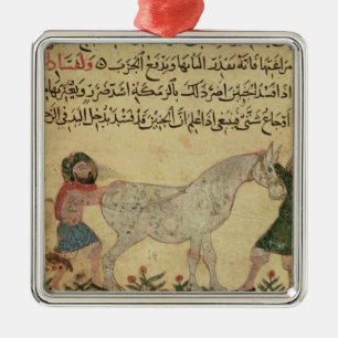 En veterinär- portion en mare som ger födelse julgransprydnad metall