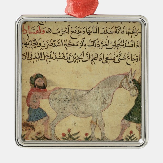 En veterinär- portion en mare som ger födelse julgransprydnad metall (Framsidan)