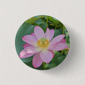 En vibrerande lotus-blomma knapp