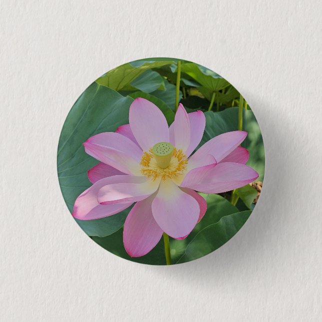 En vibrerande lotus-blomma knapp (Framsida)