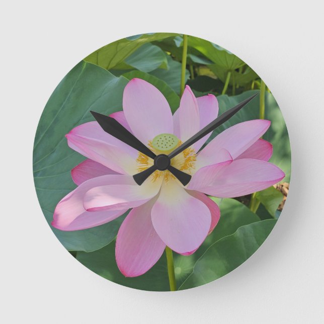 En vibrerande lotus-blomma rund klocka (Framsida)