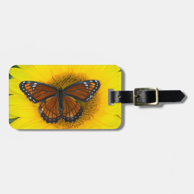 En Viceroy-fjäril | Limenitis Archippus Bagagebricka (Horisontell Framsida)