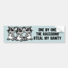 En vid en raccoonsna