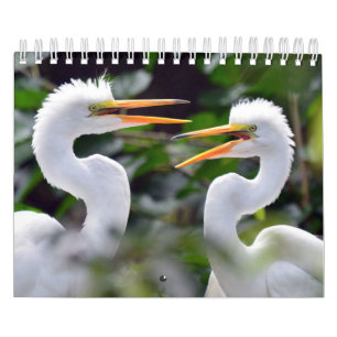 En Vild-kalender med bilder från viltlevande djur Kalender