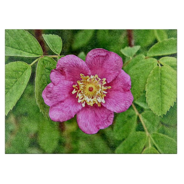 En Vild Ro (Framsidan)