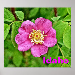 En Vild Ro - Idaho Poster