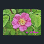 En Vild Ro iPad Mini Skydd<br><div class="desc">En digital återgivning av vilden ro. Anpassadet som läser "Vild Ro" visas också. Ofta är det som anses vara en vild ro, flytande rosa ros kring övergivna hemplatser, inte vild rosor, utan ättlingarna till odlad rosor tuff tillräckligt för att överleva utan mänsklig omsorg. . - Ro har hybridiserats sedan romartiden...</div>