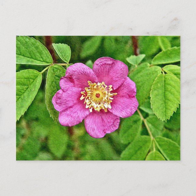 En Vild Ro Vykort (Framsida)