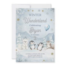 En Vild Winter Wonderland Birthday