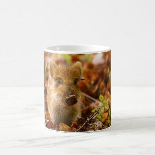 En vildsvinPigletSus Scrofa i höst löv Kaffemugg
