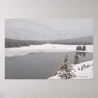 En vinterbergscen i Banff nationalpark Poster