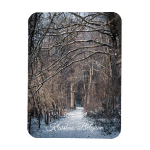 En vinterdag i Kluisbos Belgien Magnet