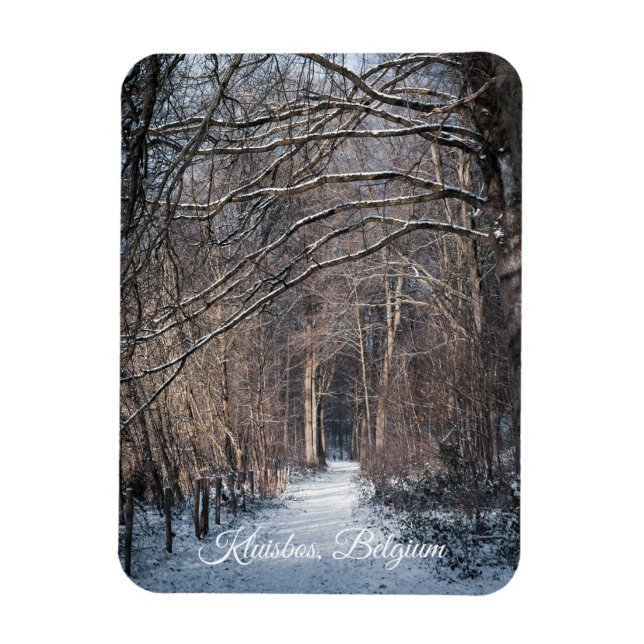 En vinterdag i Kluisbos Belgien Magnet (Vertikal)