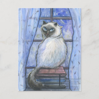 En vinterkatt. vykort