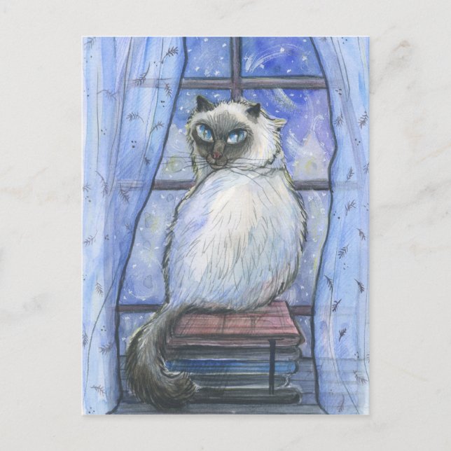 En vinterkatt. vykort (Framsida)