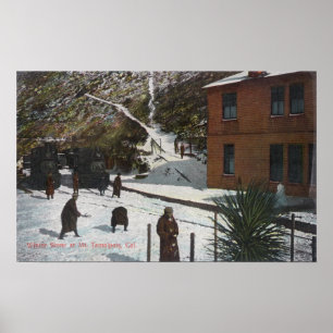 En vinterscen, Vuxnor i Snö Poster
