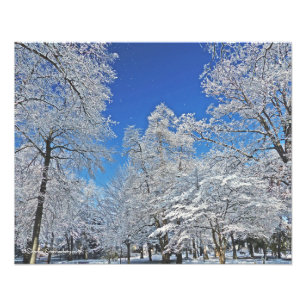 EN VISION I VITA/FÖRSTA SNOWFALL TURNERAR TRÄD ALL FOTOTRYCK
