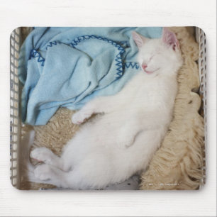 En vit katt som sover i tvätt basket. musmatta
