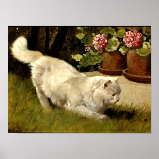 En vit persisk katt som tittar på en Ladybug Poster (Framsidan)