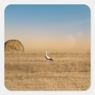 En vit stork fyrkantigt klistermärke