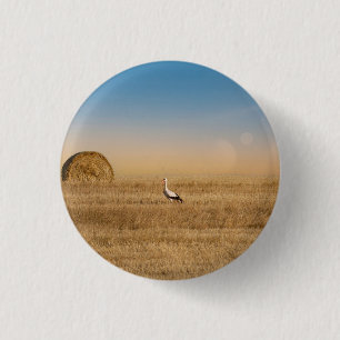 En vit stork knapp