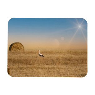 En vit stork magnet