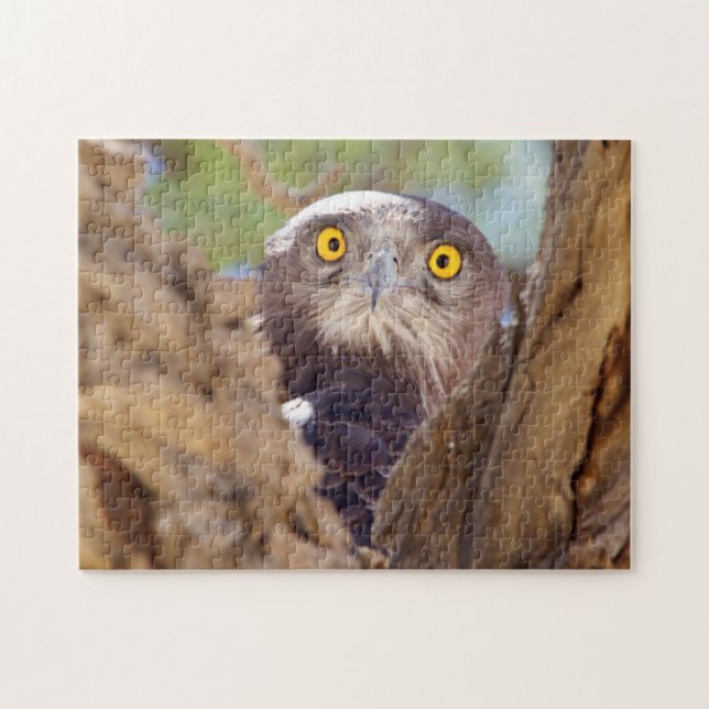 En vitbröstad ormörn pussel (Horisontell)