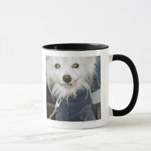 En vithund som ha på sig clothes. mugg
