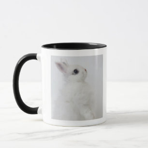 En vitkanin. Wooly. Jersey Mugg