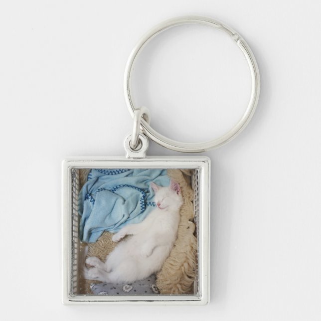 En vitkatt som sovar i en tvättkorg, fyrkantig silverfärgad nyckelring (Framsidan)