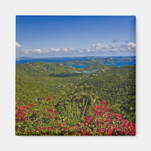 En vy av Cruse Bay, St. John Amerikanska Jungfruöa Magnet