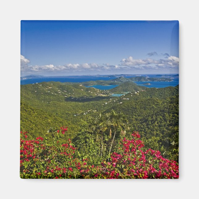 En vy av Cruse Bay, St. John Amerikanska Jungfruöa Magnet (Framsidan)