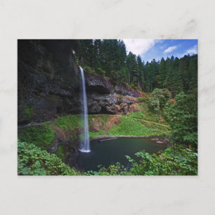 En vy av South Falls i Silver Falls State Park Vykort