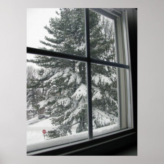 En vy från fönster från Snö som täckte Evergreen Poster (Framsidan)