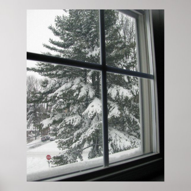En vy från fönster från Snö som täckte Evergreen Poster (Framsidan)