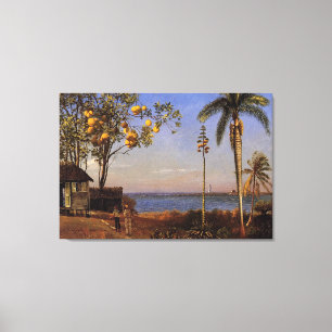 En vy i Bahamas av Bierstadt Albert. Canvastryck