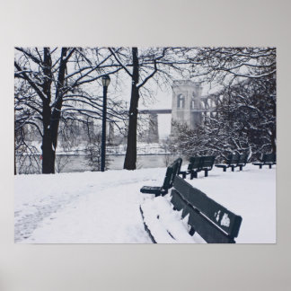 En vy över Hellgate-bron Poster