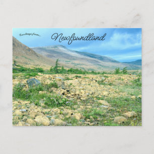 En vy över Newfoundland Vykort