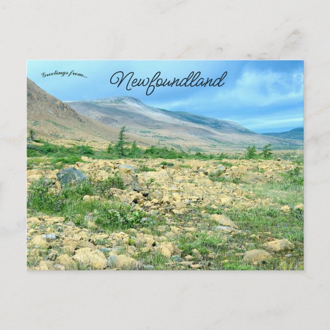 En vy över Newfoundland Vykort (Framsida)