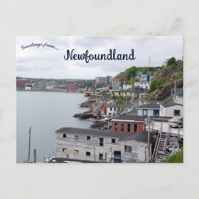 En vy över St. John's Newfoundland Kanada Vykort (Framsida)