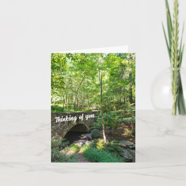 En Walkway-bro genom Woodlands Thinking U-kort Kort (Framsida)