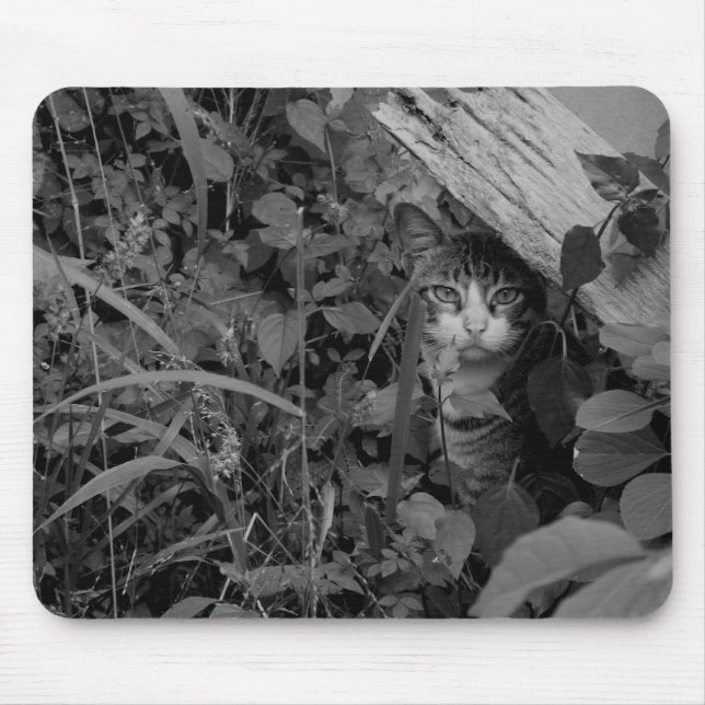 En wanderers boning musmatta (Framsidan)