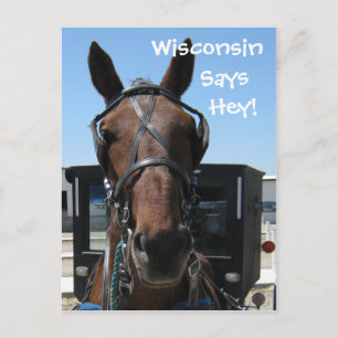 En Wisconsin! Vykort