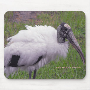 En Wood Stork Musmatta