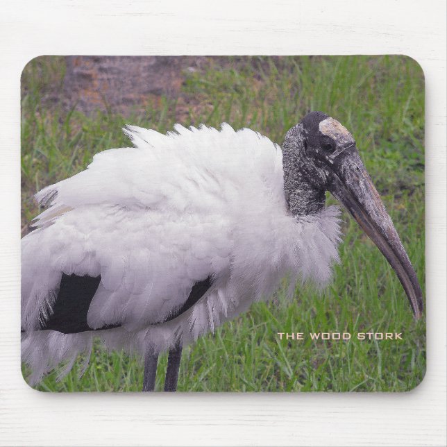 En Wood Stork Musmatta (Framsidan)