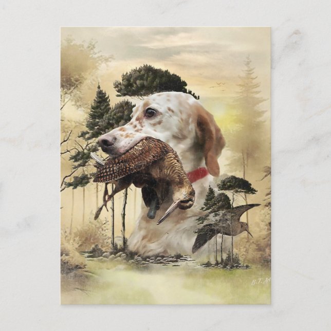 En Woodcock med engelska setter Vykort (Framsida)